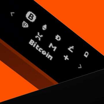 Ledger Nano X Bluetooth Crypto Wallet for Safety