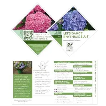 Proven Winners Hydrangea Let's Dance Rhythmic Blue | 2 Gallon