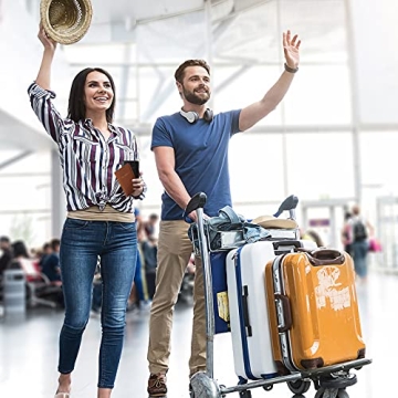 Stylish Passport Holder for Travel in Brown and Black