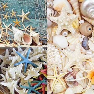 Jangostor 24 PCS Starfish, Mixed Starfish 1" to 2" and 2" to 3" Knobby Starfish Natural Seashells Starfish Perfect for Wedding Decor Beach Theme Party, Home Decorations, DIY Crafts, Fish Tank