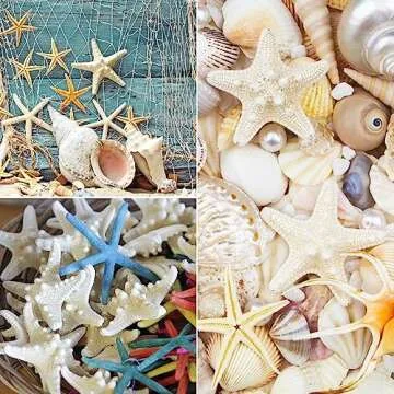 Jangostor 24 PCS Starfish, Mixed Starfish 1" to 2" and 2" to 3" Knobby Starfish Natural Seashells Starfish Perfect for Wedding Decor Beach Theme Party, Home Decorations, DIY Crafts, Fish Tank