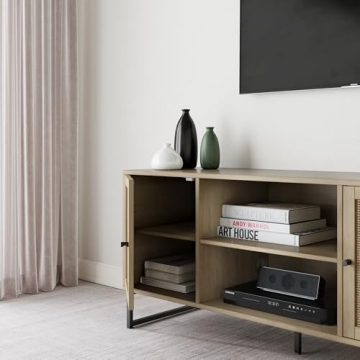 Nathan James Mina Modern TV Stand with Rattan Details