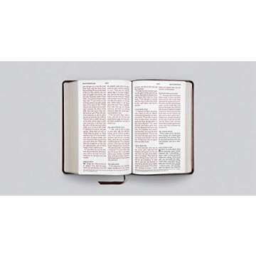 ESV Large Print Personal Size Bible (TruTone Chestnut)
