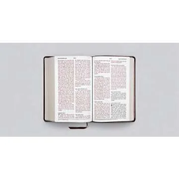 ESV Large Print Personal Size Bible (TruTone Chestnut)