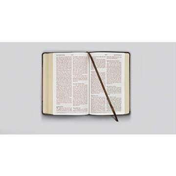 ESV Large Print Personal Size Bible (TruTone Chestnut)