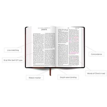 ESV Large Print Personal Size Bible (TruTone Chestnut)
