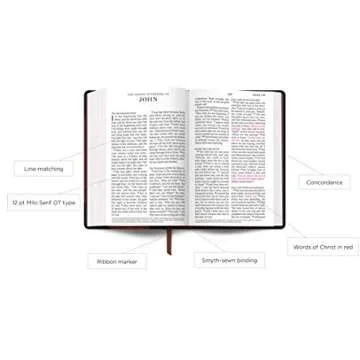 ESV Large Print Personal Size Bible (TruTone Chestnut)