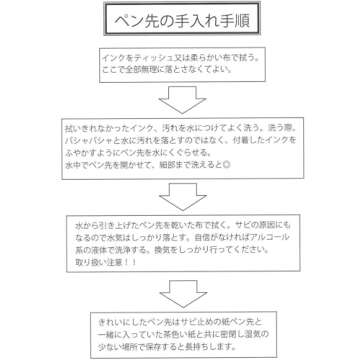 Nikko Manga Pen Nib N-Gpen, 10 Nibs (1 Pack) with Anti Rust Paper for Storage
