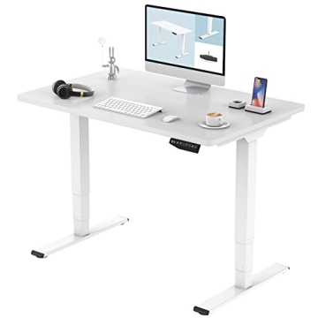 FLEXISPOT E6 Electric Standing Desk with Dual Motors