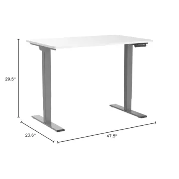 FLEXISPOT E6 Electric Standing Desk with Dual Motors