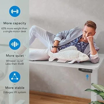 FLEXISPOT E6 Electric Standing Desk with Dual Motors