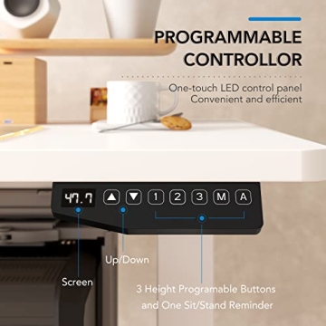 FLEXISPOT E6 Electric Standing Desk with Dual Motors