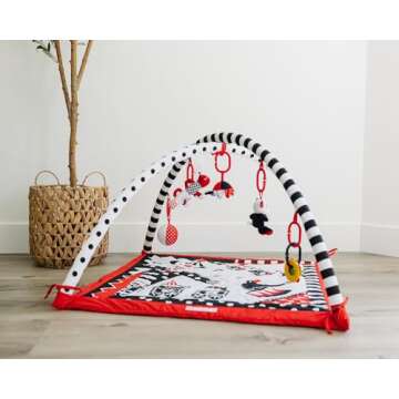 Genius Baby Toys Portable Baby Play Gym and Activity Mat 0-6 Months, Easy Set Up and Take Down, High...