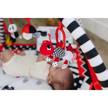 Genius Baby Toys Portable Baby Play Gym and Activity Mat 0-6 Months, Easy Set Up and Take Down, High Contrast Graphics, Washable Fabric, Ideal for Tummy Time, Compact Size with Carrying Case