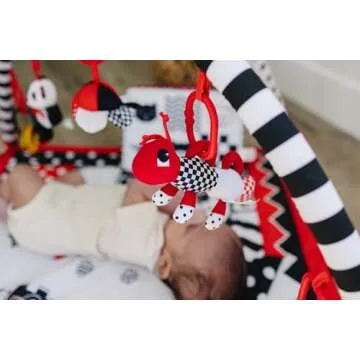 Genius Baby Toys Play Gym: High Contrast Fun for Infants