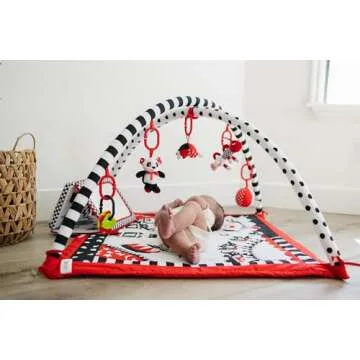 Genius Baby Toys Play Gym: High Contrast Fun for Infants