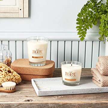 Root Candles Honeycomb Veriglass Candle – French Vanilla