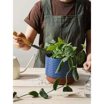 LE TAUCI Plant Pots Indoor, 5.5 + 6.8 Inch Ceramic Pots for Plants with Drainage Holes for Home and Office, Round Modern Flower Pots for Succulent Cactus, Set of 2, Aqua Blue