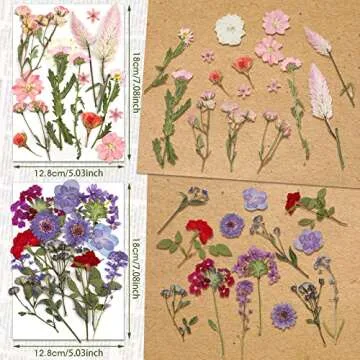Nuanchu Pressed Flowers Bulk Dried Flower for Crafts, Dried Wildflowers Leave Natural with Tweezer for Resin Mold Scrapbooking Nail Soap Making DIY(Pretty Style,Mild Color)
