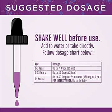 Elderberry Syrup | USDA Organic Elderberry | Sugar Free Adults & Kids Immune Support Supplement for Ages 1+ | Clean Label Project Verified, Vegan, Non-GMO, Gluten Free | 1 Fl Oz (2 Pack)