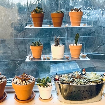 Skewo 12 Inch Acrylic Plant Shelves for Indoor Plants