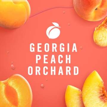 Febreze Air Freshener Spray, Odor-Fighting Room Spray, Georgia Peach Orchard Scent, 8.8oz, 2 Count