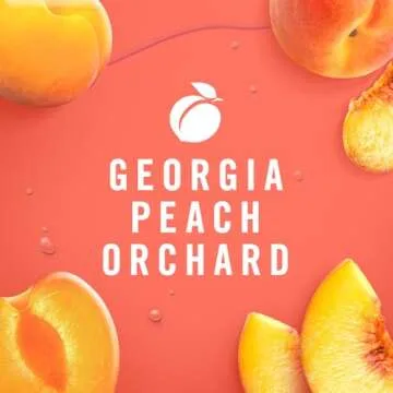 Febreze Air Freshener Spray, Odor-Fighting Room Spray, Georgia Peach Orchard Scent, 8.8oz, 2 Count