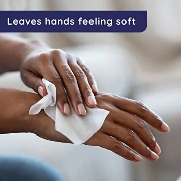 Wet Ones Antibacterial Hand Wipes Individually Wrapped