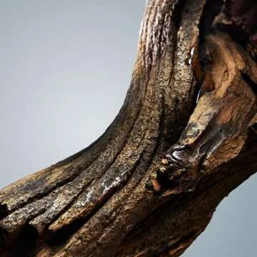 Hugo Boss Bottled Deodorant Stick for Men - 2.4 oz