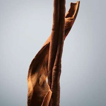 Hugo Boss Bottled Deodorant Stick for Men - 2.4 oz