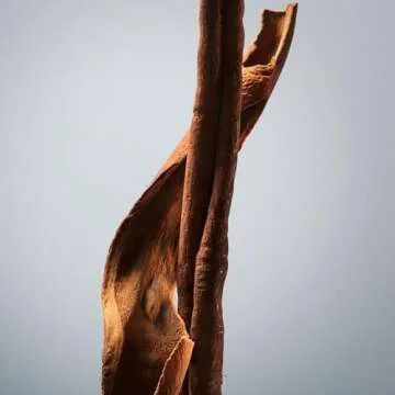 Hugo Boss Bottled Deodorant Stick for Men - 2.4 oz