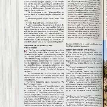 CSB Holy Land Illustrated Bible, Hardcover, Black Letter, Full-Color Design, Articles, Photos, Illustrations, Easy-to-Read Bible Serif Type