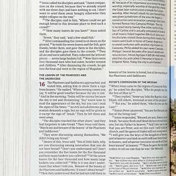 CSB Holy Land Illustrated Bible with Stunning Visuals