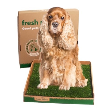 Fresh Patch Real Grass Patch for Dogs, Cats, and Large Pets 15-30 Pounds – Disposable Pet Grass Pe...