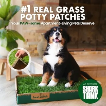 Fresh Patch Real Grass Patch for Dogs and Cats - 24 Inch