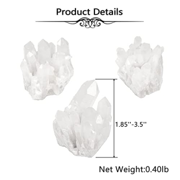 Top Plaza Clear Quartz Healing Cluster - Unique Gift