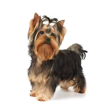 GROOMERSPRO Grooming Bands for Top Knots & Specialty Bows for Dogs | 3/8” - 500 Count Premium Late...