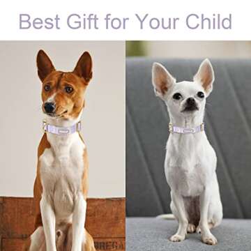 Babole Pet Nylon Dog Collar - Adjustable Lavender Soft Webbing Dog Collars for Small Medium Large Dogs Boy Girl Puppy Collar with Safety Metal Buckle XS