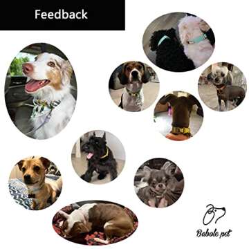 Babole Pet Nylon Dog Collar - Adjustable Lavender Soft Webbing Dog Collars for Small Medium Large Dogs Boy Girl Puppy Collar with Safety Metal Buckle XS