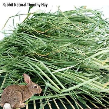 MUYG Rabbit Timothy Hay Pasture Natural Grown Grass Premium Fresh Hays Small Animals High Fiber Rich...
