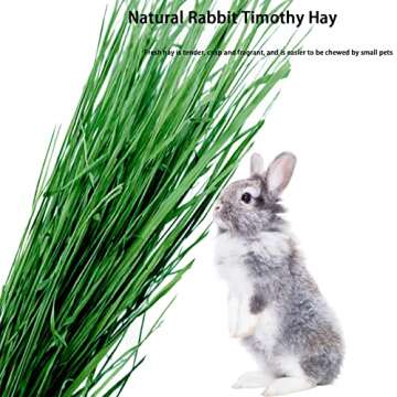 MUYG Rabbit Timothy Hay Pasture Natural Grown Grass Premium Fresh Hays Small Animals High Fiber Rich Food Healthy Pet Foods for Guinea Pig Chinchilla Ferrets 1.1LB