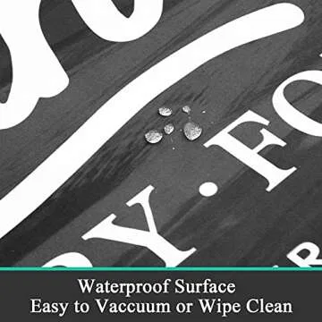 Pauwer Farmhouse Rug for Laundry Room and Kitchen