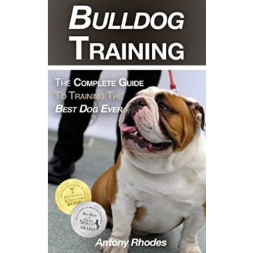 Bulldog Training Complete Guide for Every Owner