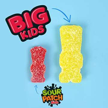 SOUR PATCH KIDS Big Individually Wrapped Soft & Chewy Candy, Bulk Candy, 240 Count Box