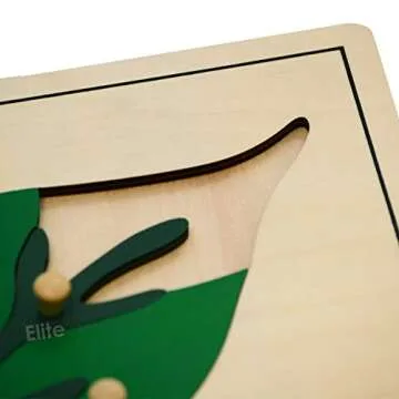 Elite Montessori Leaf Puzzles Toy for Preschool Early Child Development Learning Material