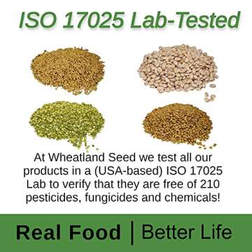Hard Red Wheat Berries : Wheatland™ : 25 lb Bulk: Emergency Preparedness : Mylar : Oxygen Absorber : 30 Year Shelf Life : Non GMO: NO Glyphosate : Long Term Food Storage