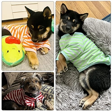 6 Colorful Striped T-Shirts for Small Dogs Available
