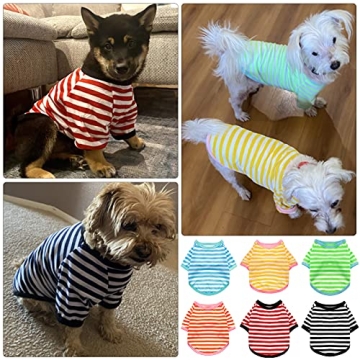 6 Colorful Striped T-Shirts for Small Dogs Available