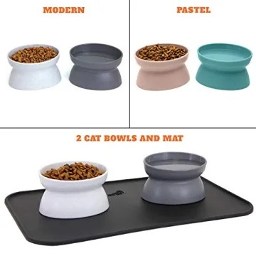 Kitty City Elevated Cat Bowl Set for Comfort and Style