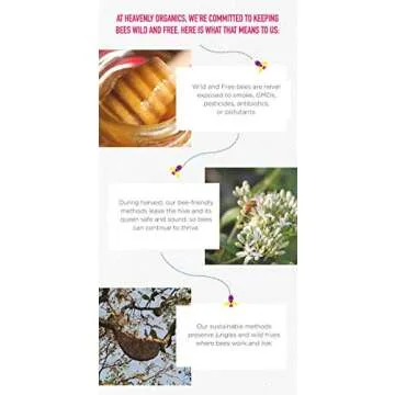 Organic Double Dark Chocolate Honey Patties - Indulge Guilt-Free